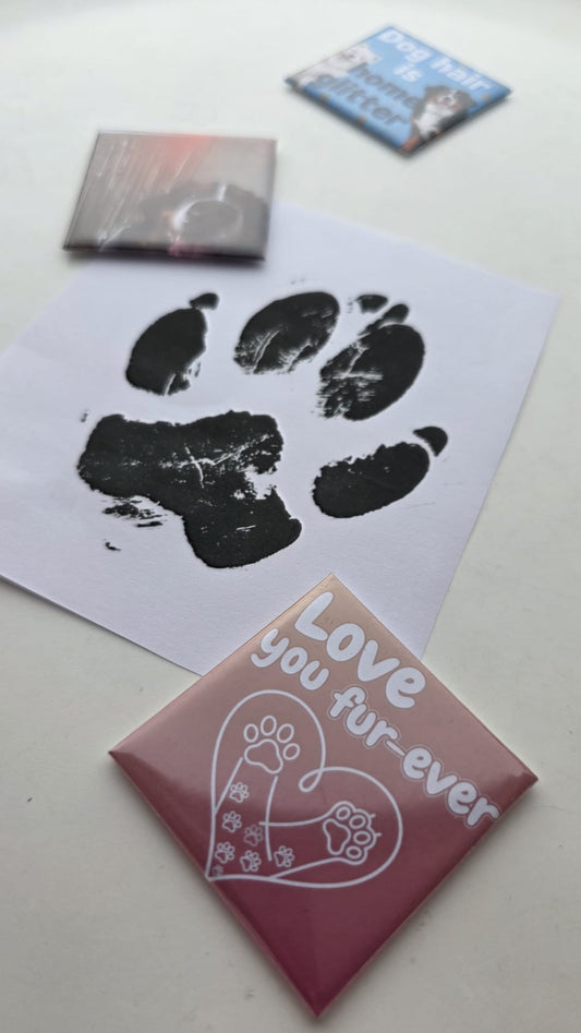 Bundle - Individual magnet 50 x 50 mm x5