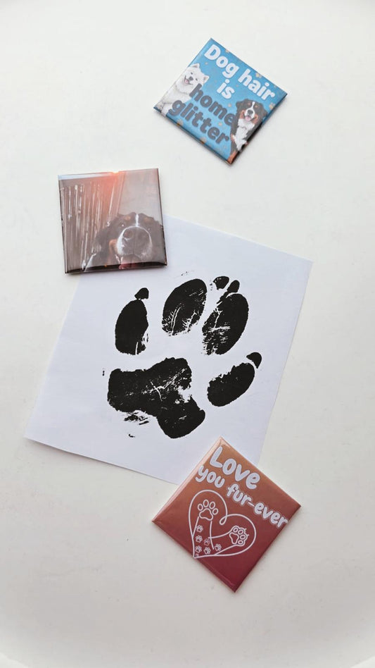Bundle - Individual magnet 50 x 50 mm x5